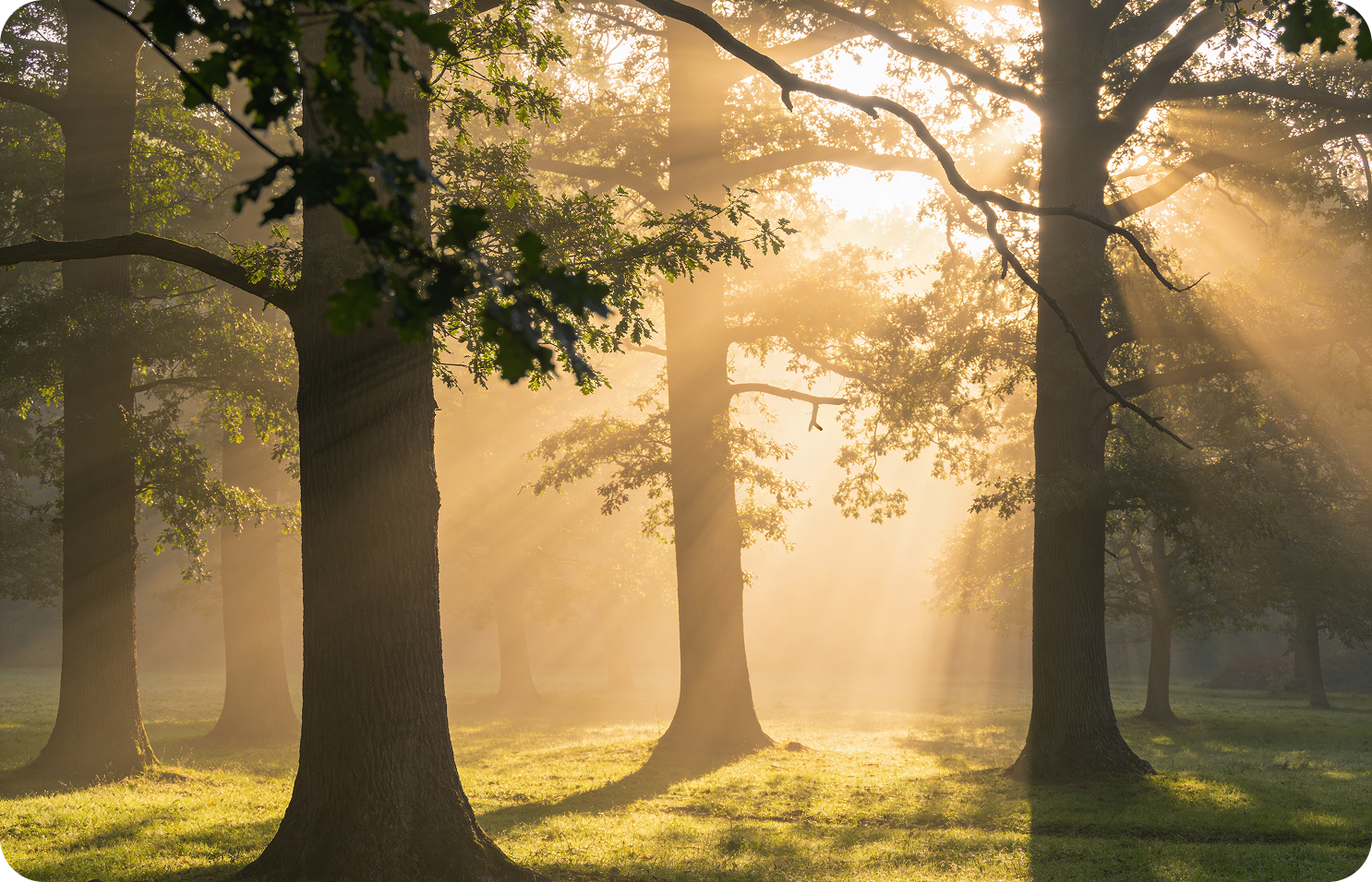 Предложить сотрудничество