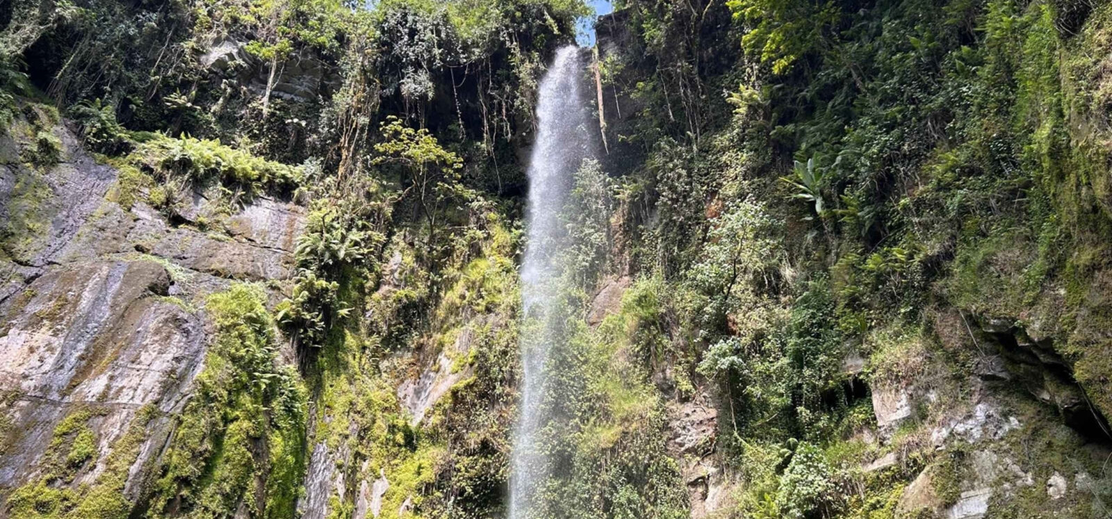 Место проведения