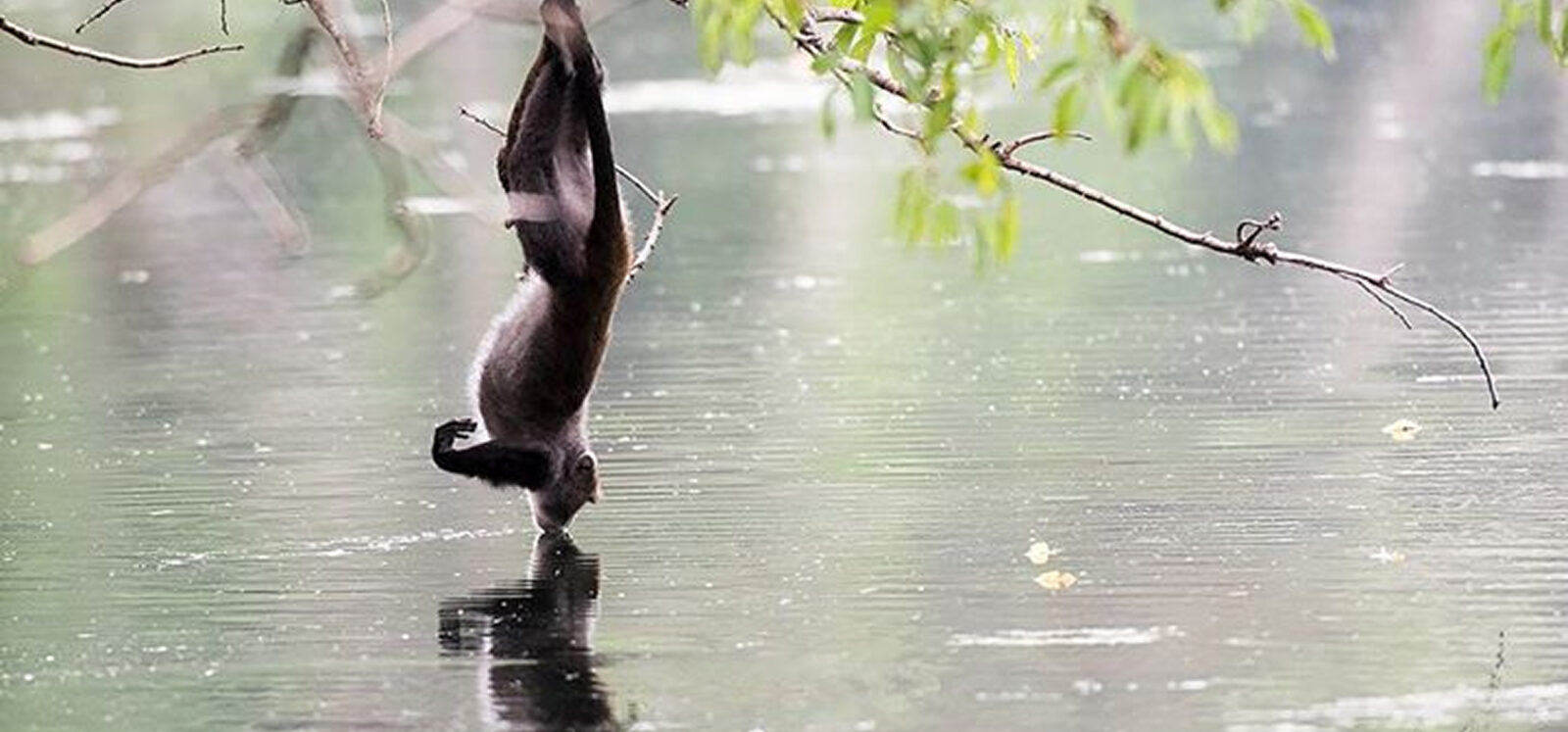 Место проведения